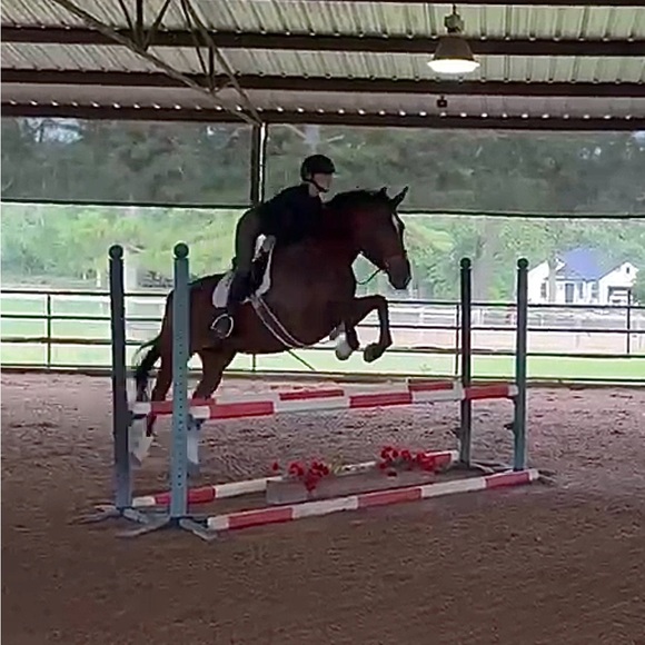 amandalohman595